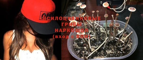 jwh Армянск