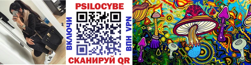 дарк нет телеграм  Верея  Псилоцибиновые грибы MAGIC MUSHROOMS  купить наркотик 