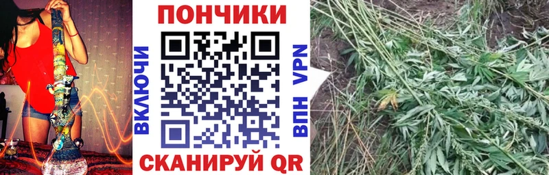 купить   Верея  darknet клад  Канабис семена 